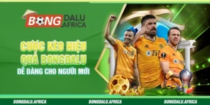 Cược Kèo Hiệu Quả Bongdalu - Dễ Dàng Cho Người Mới
