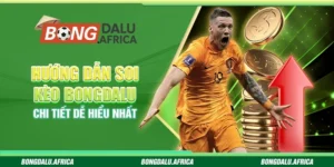 Hướng Dẫn Soi Kèo Bongdalu - Chi Tiết Dễ Hiểu Nhất