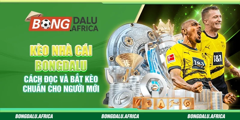 Kèo Nhà Cái Bongdalu – Cách Đọc Và Bắt Kèo Chuẩn Cho Người Mới