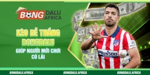 Kèo Dễ Thắng Bongdalu - Giúp Người Mới Chơi Có Lãi