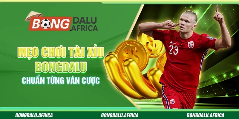 Mẹo Chơi Tài Xỉu Bongdalu – Chuẩn Từng Ván Cược