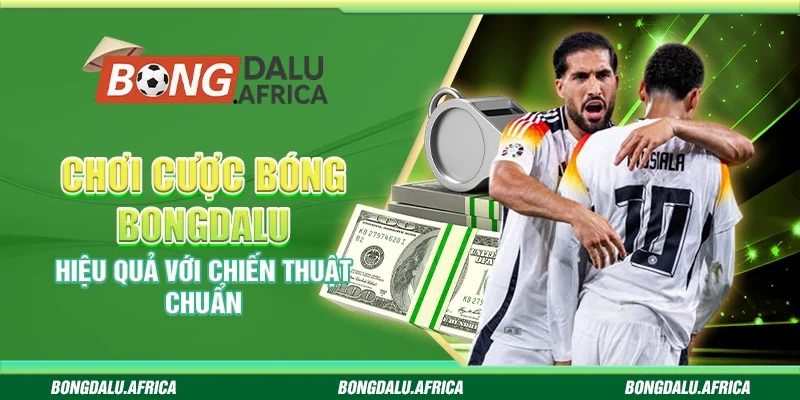 Chơi Cược Bóng Bongdalu – Hiệu Quả Với Chiến Thuật Chuẩn