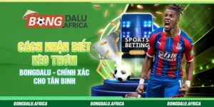 Cách Nhận Biết Kèo Thơm Bongdalu – Chính Xác Cho Tân Binh