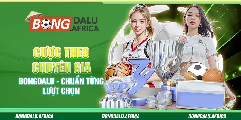Cược Theo Chuyên Gia Bongdalu – Chuẩn Từng Lượt Chọn