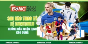 Soi Kèo Theo Tỷ Lệ Bongdalu – Hướng Dẫn Nhận Định Kèo Đúng