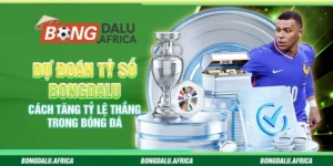 Dự Đoán Tỷ Số Bongdalu - Cách Tăng Tỷ Lệ Thắng Trong Bóng Đá