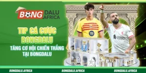 Tip Cá Cược Bongdalu – Tăng Cơ Hội Chiến Thắng Tại Bongdalu