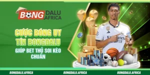 Cược Bóng Uy Tín Bongdalu – Giúp Bet Thủ Soi Kèo Chuẩn