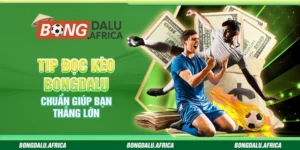 Tip Đọc Kèo Bongdalu - Chuẩn Giúp Bạn Thắng Lớn