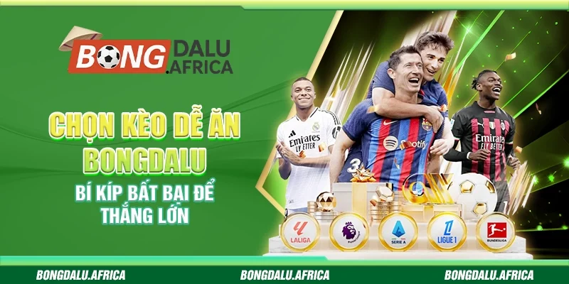 Chọn Kèo Dễ Ăn Bongdalu – Bí Kíp Bất Bại Để Thắng Lớn