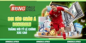 Soi Kèo Châu Á Bongdalu – Thắng Với Tỷ Lệ Chính Xác Cao