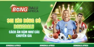 Soi Kèo Bóng Cỏ Bongdalu – Cách Ăn Đậm Như Các Chuyên Gia