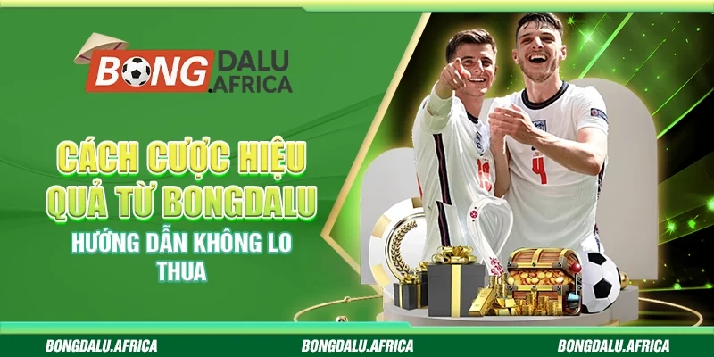 Cách Cược Hiệu Quả Từ Bongdalu – Hướng Dẫn Không Lo Thua