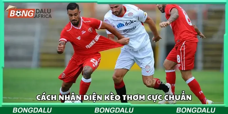 Hướng dẫn cách nhận diện kèo thơm cực chuẩn