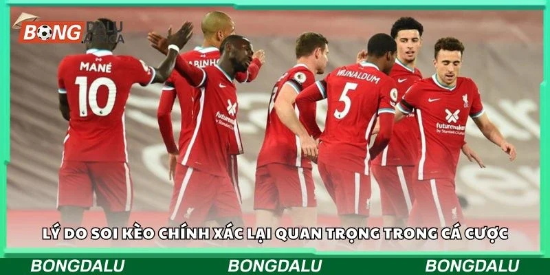 Lý do soi kèo chính xác lại quan trọng trong cá cược