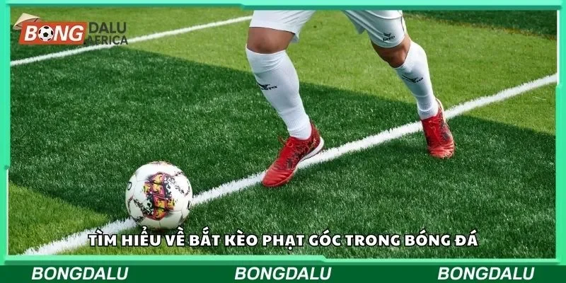 Tìm hiểu về bắt kèo phạt góc trong bóng đá