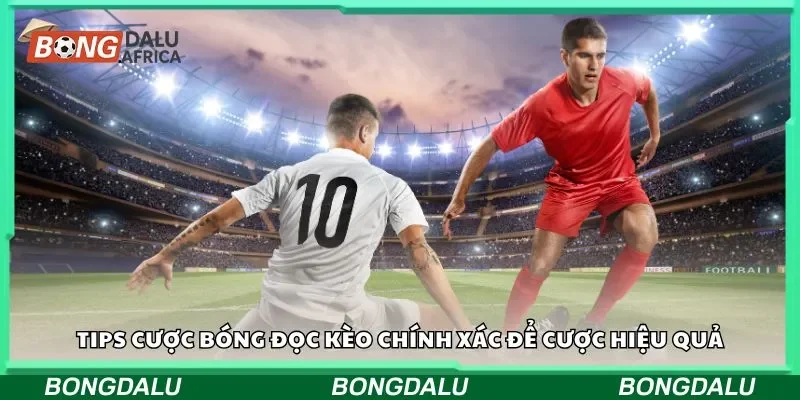 Tips cược bóng đọc kèo chính xác để cược hiệu quả