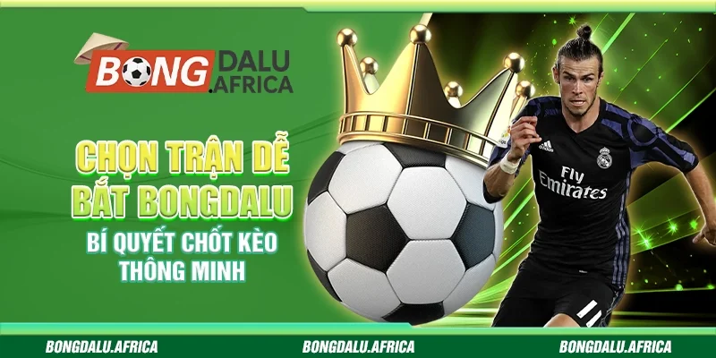 Chọn trận dễ bắt bongdalu –  Bí quyết chốt kèo thông minh 