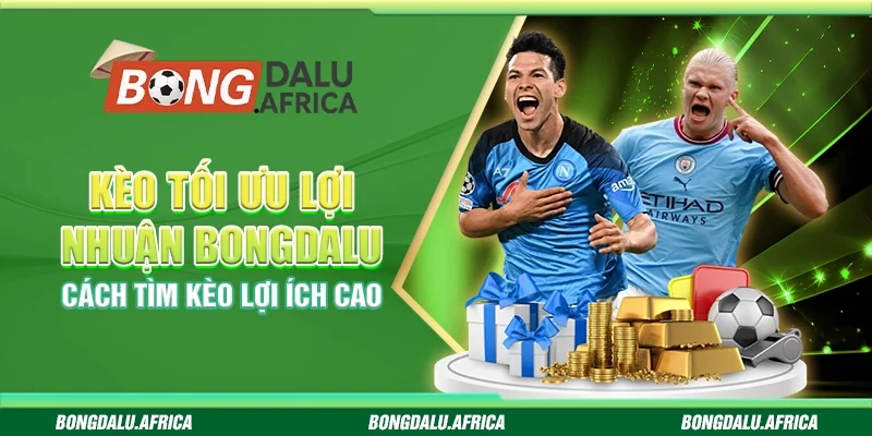 Kèo Tối Ưu Lợi Nhuận Bongdalu – Cách Tìm Kèo Lợi Ích Cao