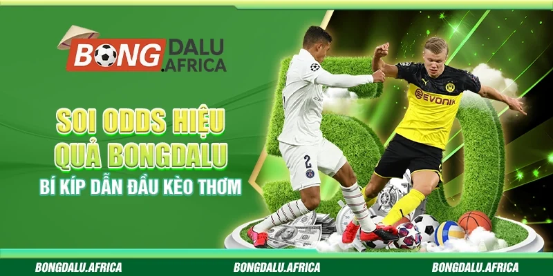 Soi Odds Hiệu Quả Bongdalu – Bí Kíp Dẫn Đầu Kèo Thơm