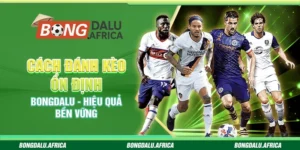 Cách Đánh Kèo Ổn Định Bongdalu – Hiệu Quả Bền Vững