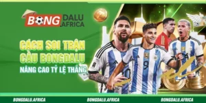 Cách Soi Trận Cầu Bongdalu – Nâng Cao Tỷ Lệ Thắng
