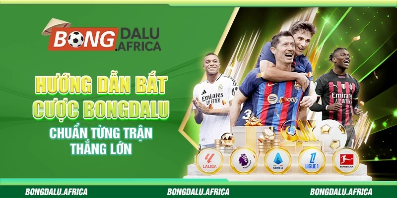 Hướng Dẫn Bắt Cược Bongdalu – Chuẩn Từng Trận Thắng Lớn