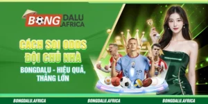 Soi Odds Đội Chủ Nhà Bongdalu - Hiệu Quả, Thắng Lớn
