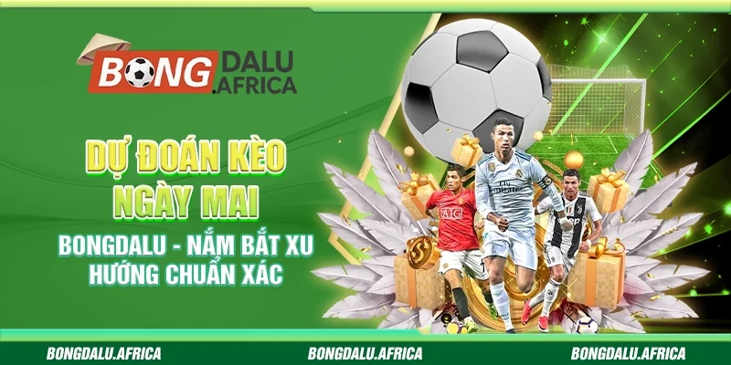 Dự Đoán Kèo Ngày Mai Bongdalu – Nắm Bắt Xu Hướng Chuẩn Xác 