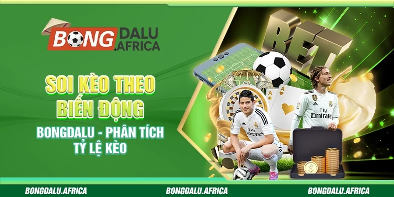 Soi Kèo Theo Biến Động Bongdalu – Phân Tích Tỷ Lệ Kèo 