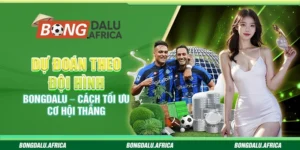 Dự Đoán Theo Đội Hình Bongdalu – Cách Tối Ưu Cơ Hội Thắng