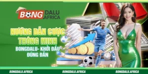 Hướng dẫn cược thông minh Bongdalu- Khởi đầu đúng đắn
