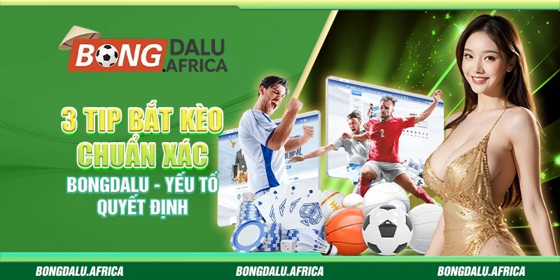3 Tip Bắt Kèo Chuẩn Xác Bongdalu - Yếu Tố Quyết Định