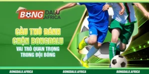 Cầu Thủ Đánh Chặn Bongdalu - Vai Trò Quan Trọng Trong Đội Bóng