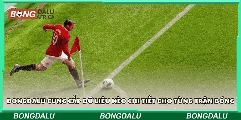 Bongdalu cung cấp dữ liệu kèo chi tiết cho từng trận bóng