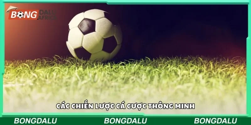 Các chiến lược cá cược thông minh