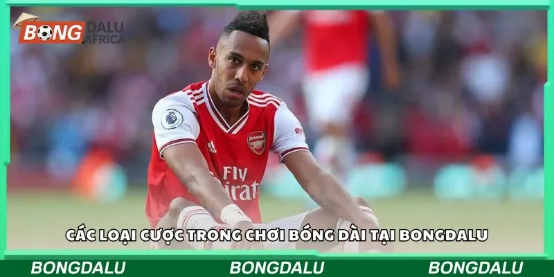 Các loại cược trong chơi bóng dài tại Bongdalu