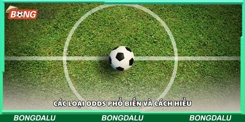 Các loại odds phổ biến và cách hiểu