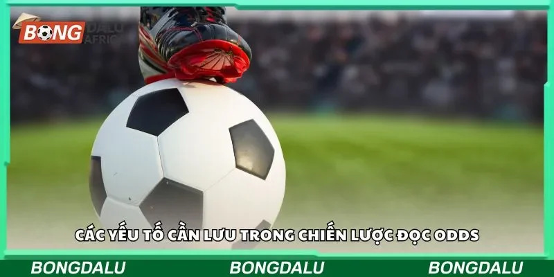 Các yếu tố cần lưu trong chiến lược đọc odds