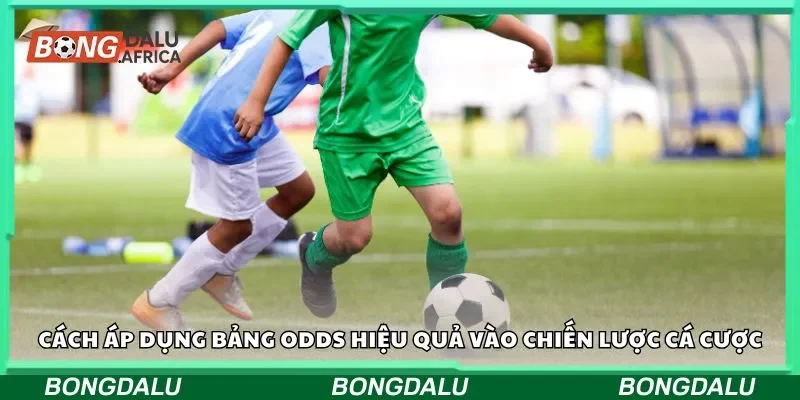 Cách áp dụng bảng odds hiệu quả vào chiến lược cá cược