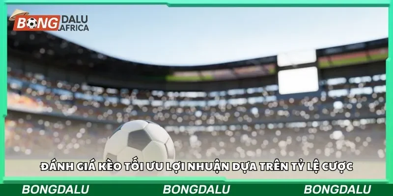 Đánh giá kèo tối ưu lợi nhuận dựa trên tỷ lệ cược