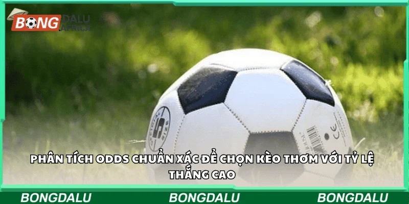 Phân tích odds chuẩn xác để chọn kèo thơm với tỷ lệ thắng cao