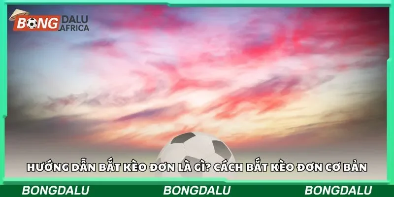 Hướng dẫn bắt kèo đơn là gì? Cách bắt kèo đơn cơ bản