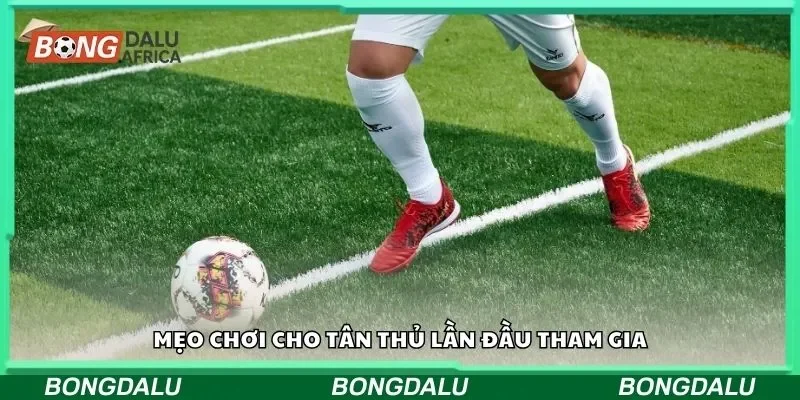 Mẹo chơi cho tân thủ lần đầu tham gia