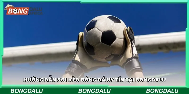 Hướng dẫn soi kèo bóng đá uy tín tại Bongdalu