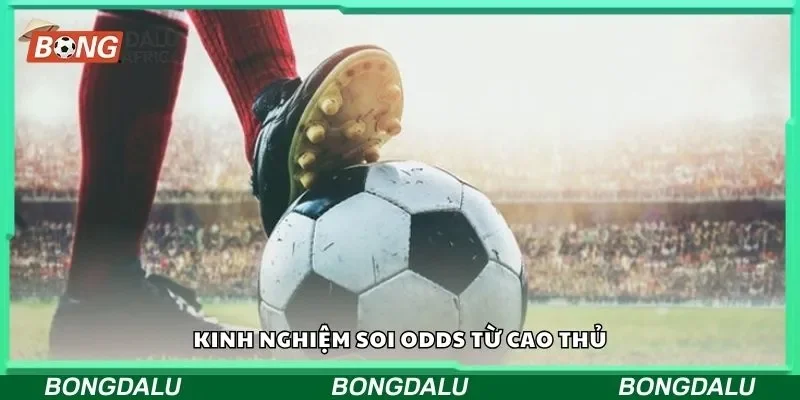 Kinh nghiệm soi Odds từ cao thủ