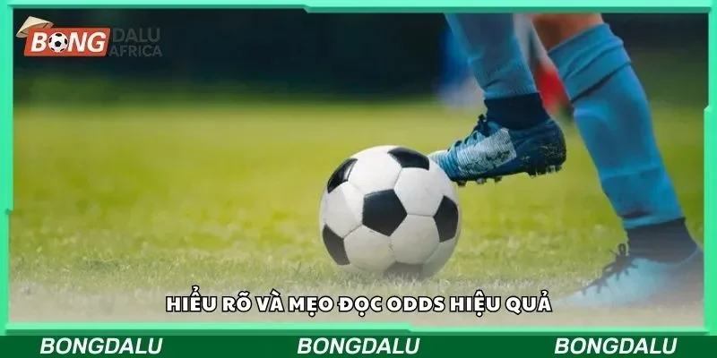 Hiểu rõ và mẹo đọc odds hiệu quả