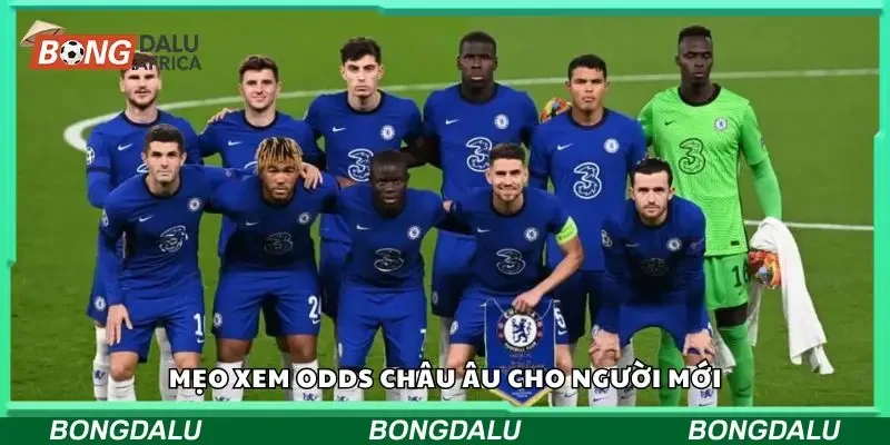 Mẹo xem odds châu âu đơn giản cho newbie