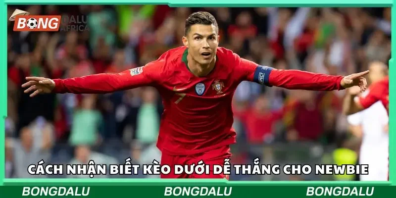 Tìm hiểu về kèo dưới