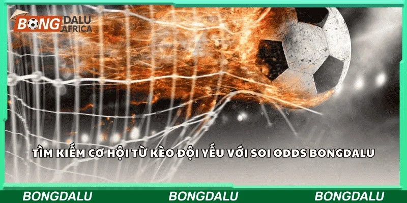 Tìm kiếm cơ hội từ kèo đội yếu với soi odds Bongdalu.